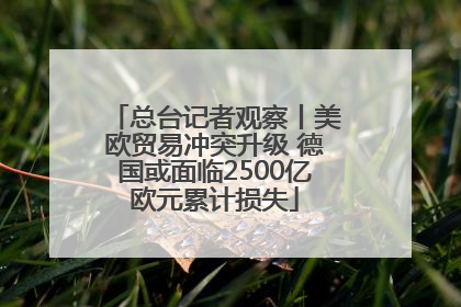 总台记者观察丨美欧贸易冲突升级 德国或面临2500亿欧元累计损失
