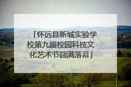 怀远县新城实验学校第九届校园科技文化艺术节圆满落幕