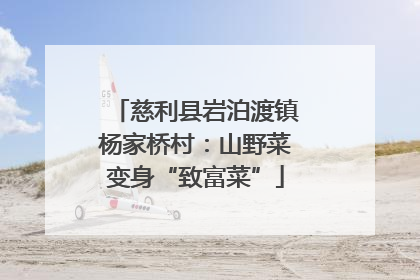 慈利县岩泊渡镇杨家桥村：山野菜变身“致富菜”