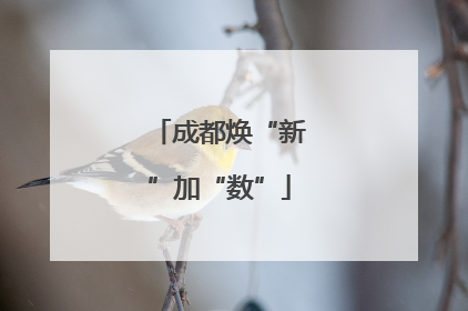 成都焕“新”加“数”