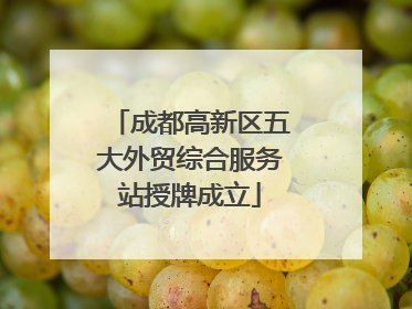成都高新区五大外贸综合服务站授牌成立