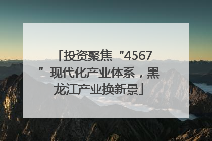 投资聚焦“4567”现代化产业体系，黑龙江产业换新景