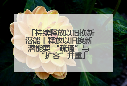 持续释放以旧换新潜能丨释放以旧换新潜能要 “疏通”与“扩容”并重