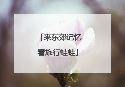 来东郊记忆 看旅行蛙蛙
