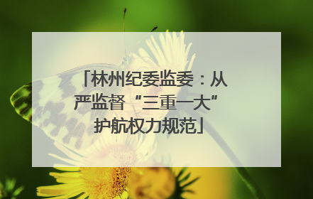 林州纪委监委：从严监督“三重一大” 护航权力规范
