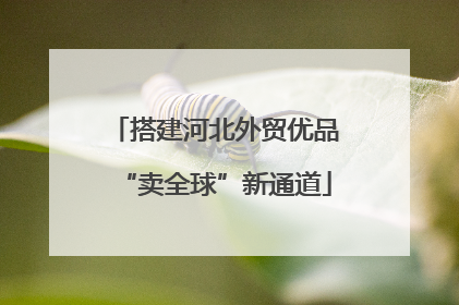 搭建河北外贸优品“卖全球”新通道