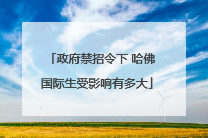 政府禁招令下 哈佛国际生受影响有多大