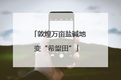 敦煌万亩盐碱地变“希望田”