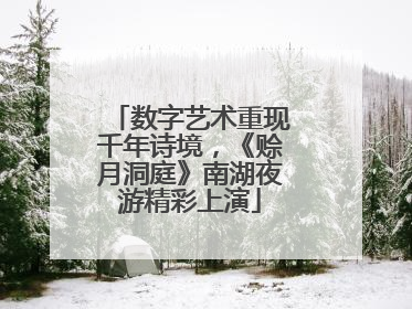 数字艺术重现千年诗境，《赊月洞庭》南湖夜游精彩上演