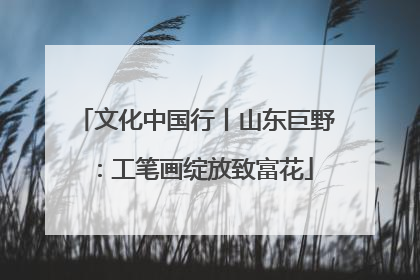 文化中国行丨山东巨野：工笔画绽放致富花