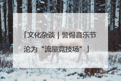 文化杂谈｜警惕音乐节沦为“流量竞技场”