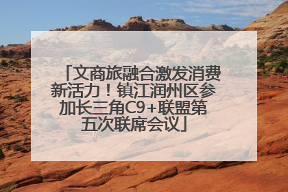 文商旅融合激发消费新活力！镇江润州区参加长三角C9+联盟第五次联席会议