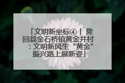 文明新坐标④丨 隆回县金石桥镇黄金井村：文明新风生“黄金” 振兴路上展新姿