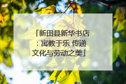 新田县新华书店：寓教于乐 传递文化与劳动之美