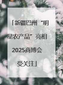 新疆巴州“明星农产品”亮相2025商博会受关注