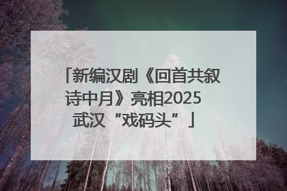 新编汉剧《回首共叙诗中月》亮相2025武汉“戏码头”