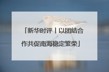 新华时评丨以团结合作共促南海稳定繁荣