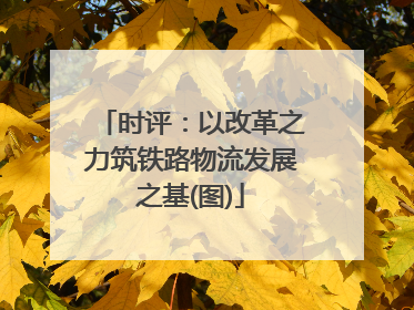 时评：以改革之力筑铁路物流发展之基(图)