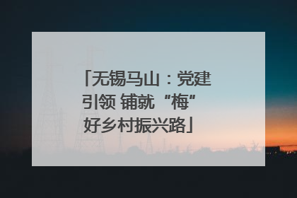 无锡马山：党建引领 铺就“梅”好乡村振兴路