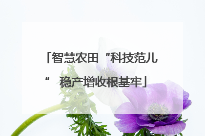 智慧农田“科技范儿” 稳产增收根基牢