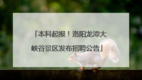 本科起报！洛阳龙潭大峡谷景区发布招聘公告