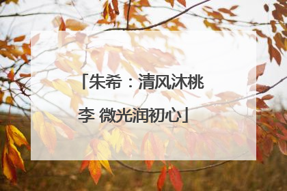 朱希：清风沐桃李 微光润初心