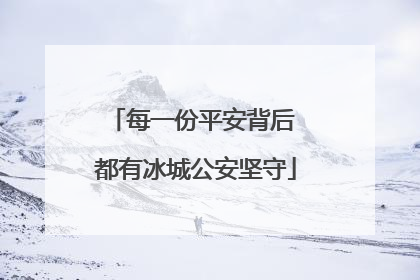 每一份平安背后 都有冰城公安坚守