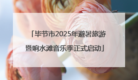 毕节市2025年避暑旅游暨响水滩音乐季正式启动