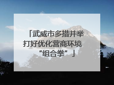 武威市多措并举打好优化营商环境“组合拳”