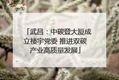 武昌：中碳登大厦成立楼宇党委 推进双碳产业高质量发展