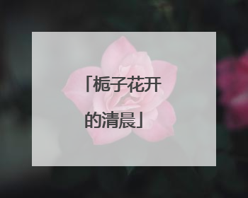 栀子花开的清晨