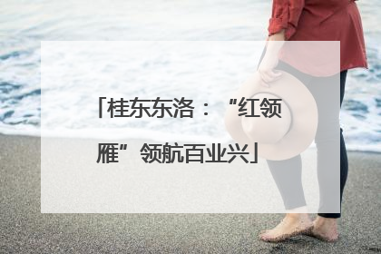 桂东东洛：“红领雁”领航百业兴