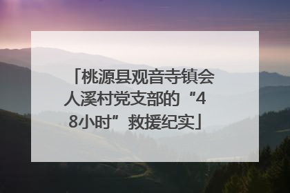 桃源县观音寺镇会人溪村党支部的“48小时”救援纪实