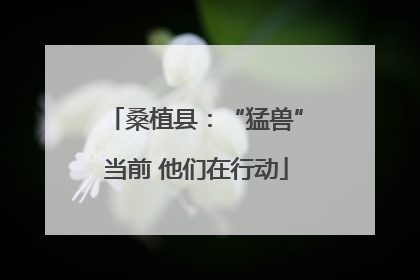 桑植县：“猛兽”当前 他们在行动