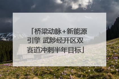 桥梁动脉+新能源引擎 武陟经开区双赛道冲刺半年目标