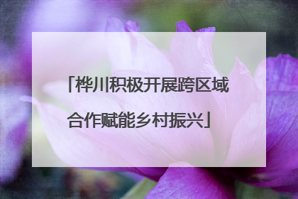 桦川积极开展跨区域合作赋能乡村振兴