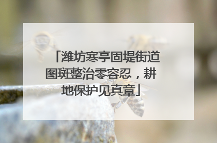 潍坊寒亭固堤街道图斑整治零容忍，耕地保护见真章