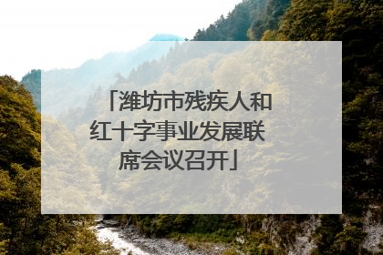 潍坊市残疾人和红十字事业发展联席会议召开