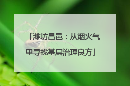 潍坊昌邑：从烟火气里寻找基层治理良方