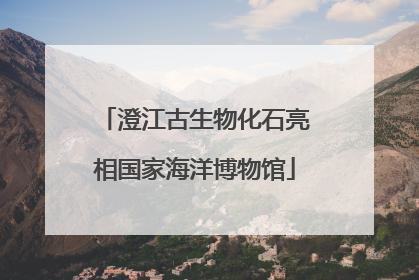 澄江古生物化石亮相国家海洋博物馆