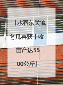 永春东关镇冬瓜喜获丰收 亩产达5500公斤