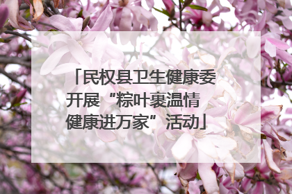 民权县卫生健康委开展“粽叶裹温情 健康进万家”活动