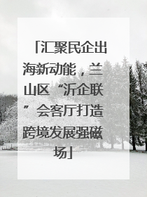 汇聚民企出海新动能，兰山区“沂企联”会客厅打造跨境发展强磁场