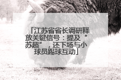 江苏省省长调研释放关键信号：提及“苏超”，还下场与小球员踢球互动