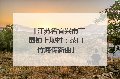 江苏省宜兴市丁蜀镇上坝村：茶山竹海传新曲