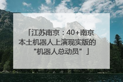 江苏南京：40+南京本土机器人上演现实版的“机器人总动员”