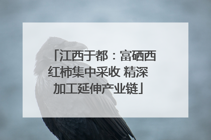 江西于都：富硒西红柿集中采收 精深加工延伸产业链