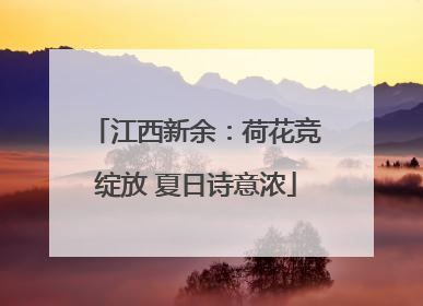 江西新余：荷花竞绽放 夏日诗意浓