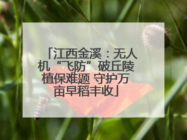 江西金溪：无人机“飞防”破丘陵植保难题 守护万亩早稻丰收