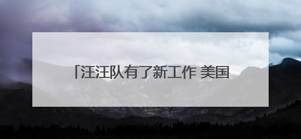 汪汪队有了新工作 美国一机场出动牧羊犬驱鸟